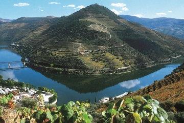 Douro Valley Full-Day Wine Tour