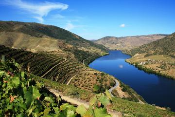Douro Vinhateiro Full Day Guided Tour with Wine Tasting from Porto