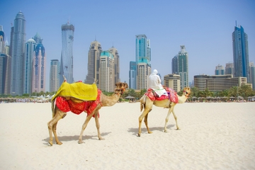 Dubai Seaplane Flight from Abu Dhabi Including Dubai Mall and Return Transfer