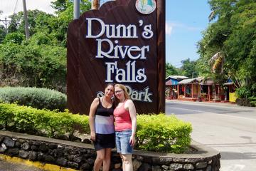 Dunn's River Falls and Fern Gully Day Trip from Kingston