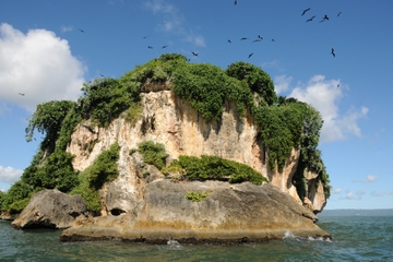 Eco-Adventure in Los Haitises National Park and Cayo Levantado from Samaná