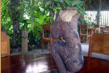 Eco-Village Tours from Belize City Eco-Village Tours from Belize City