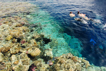 Egyptian Snorkel Day Trip from Sharm el Sheikh