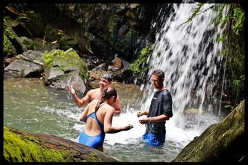 El Yunque Rain Forest Tour with Waterfall Swimming from San Juan
