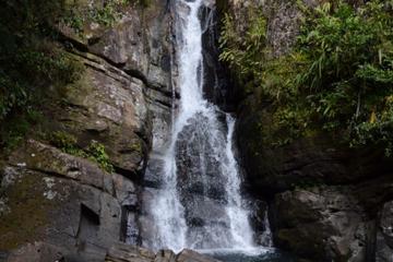 El Yunque Rainforest and Bioluminescent Bay Kayaking Combo Tour