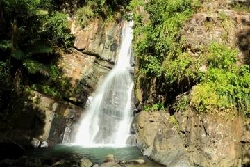 El Yunque Rainforest Hiking from San Juan