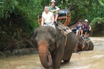 Elephant Trekking in Pattaya