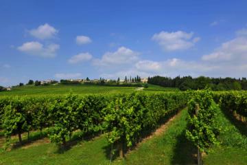 En Route of Venetian Wine 7 Day Tour