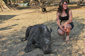 Endangered Wildlife Tour from Hazyview