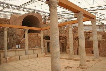 Ephesus and Terrace Houses Private from Kusadasi