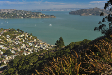 Explore Marin County: Sausalito, Muir Woods and Seaplane Tour