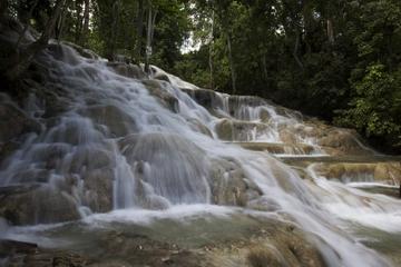 Falmouth Shore Excursion: Dunn's River Falls and Ocho Rios Shopping Tour