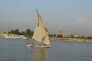 Felucca Day Cruise in Luxor