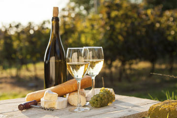 Finger Lakes Wine Festival from New Hampshire