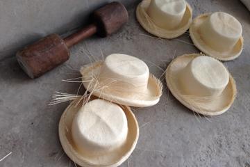 Fish Market and Montecristi Hats from Manta