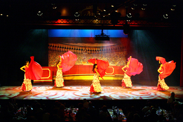 Flamenco Show with Optional Dinner and Transport from Costa Brava