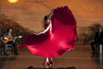 Flamenco Tour