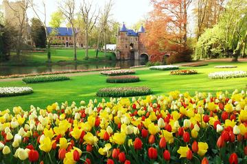 Floralia Brussels Flower Exhibiton at the Castle of Groot-Bijgaarden Floralia Brussels Flower Exhibiton at the Castle of Groot-Bijgaarden