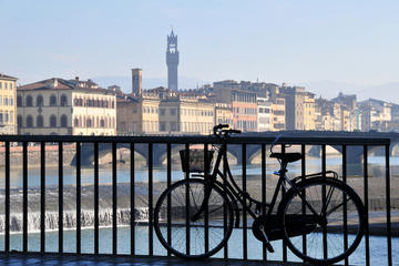 Florence and Tuscany Bike Tour Including Lunch