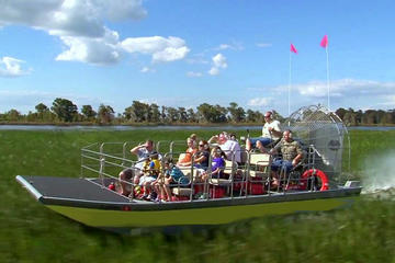 Florida Everglades Airboat Tour and Alligator Encounter with Lunch