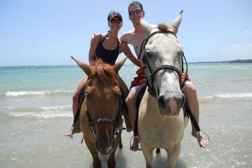 Fort James and Beach Horseback Ride from St John's