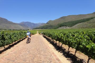 Franschhoek Vignerons Bike Tour from Cape Town