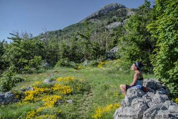 From Hillside to Coastline 7 Day Montenegro Tour