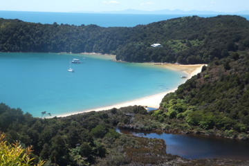 Full-Day Abel Tasman National Park Hiking Tour with Cruise