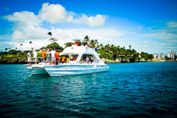 Full-Day Catalina Island Snorkeling Tour from La Romana