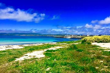 Full-Day Connemara and the Coast of Galway Bay Tour from Galway
