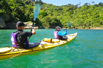 Full-Day Guided Sea Kayak Trip from Picton