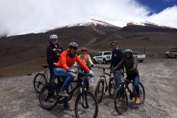Full-Day Hike and Bike Cotopaxi National Park from Quito