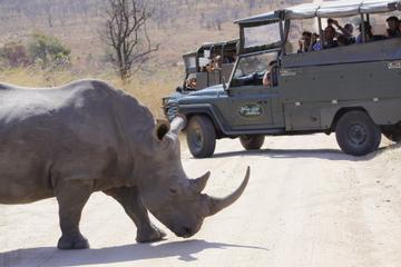 Full-Day Kruger Park Open Vehicle Safari from Hazyview