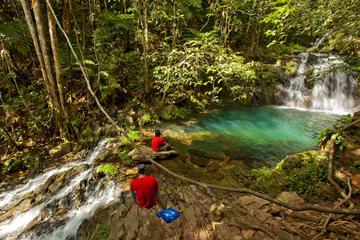Full-Day Waterfall Expedition at Mayflower Bocawina National Park