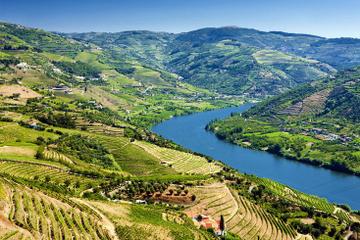 Full-Day Wine Tasting Tour in the Douro Valley with Lunch
