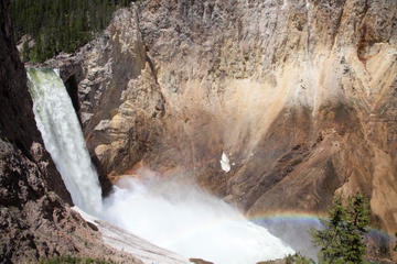 Full-Day Yellowstone Wildlife Safari Tour From Jackson Hole