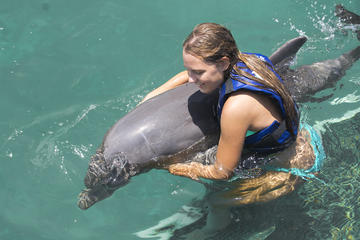 Funtastic Dolphin Encounter in Punta Cana