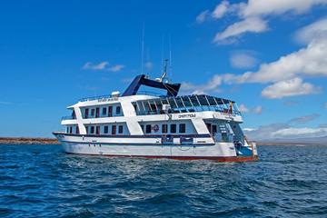 Galapagos Cruise: 4-Day Tour to Santa Cruz, Genovesa and San Cristobal Islands