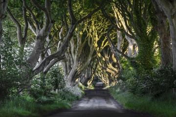 Game of Thrones' and Giant's Causeway Tour from Belfast