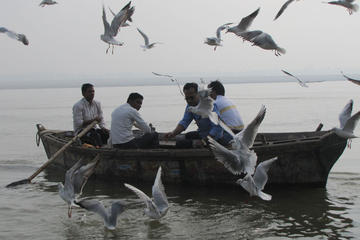 Ganga Ghat and Morning Rituals Guided Boat Tour in Varanasi