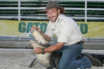 Gators Gators Gators - Wild Florida and Gatorland