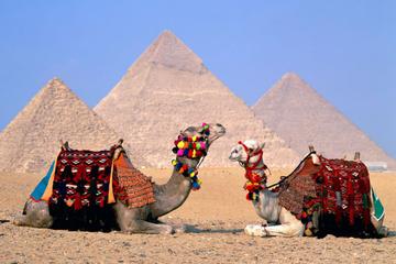Giza Complex and the Egyptian Museum Private Tour From Cairo