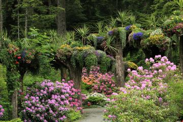 Glacier Gardens Rainforest Adventure in Juneau