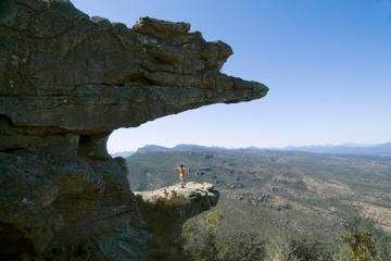Grampians National Park and Australian Animals Small Group Tour from Melbourne