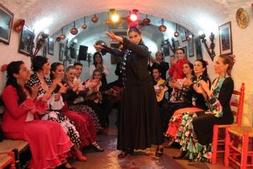 Granada Flamenco Show in Sacromonte and Walking Tour of Albaicin