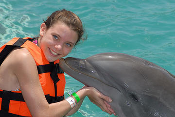 Grand Cayman Dolphin Encounter