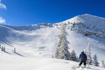 Grand Targhee Round-Trip Transport from Jackson Hole with Optional Lift Ticket