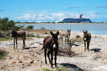 Grand Turk Historical Sightseeing Tour by Tram