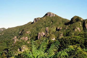 Great Barrier Island Tour including return flights from Auckland