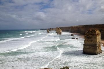 Great Ocean Road Small Group Eco Tour from Melbourne